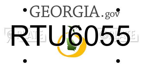 RTU6055 Georgia License Plate