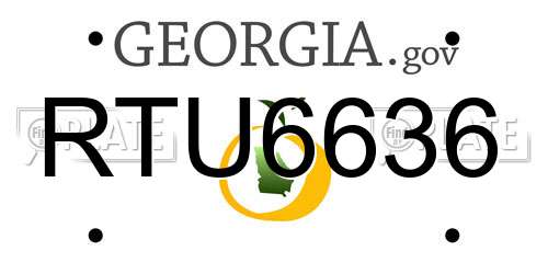 RTU6636 Georgia License Plate