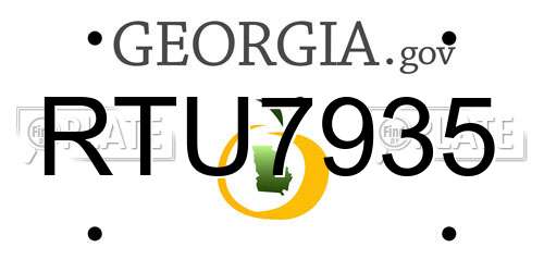 RTU7935 Georgia License Plate