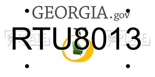 RTU8013 Georgia License Plate