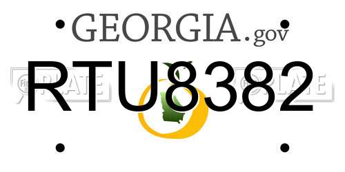 RTU8382 Georgia License Plate