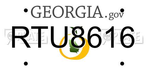RTU8616 Georgia License Plate