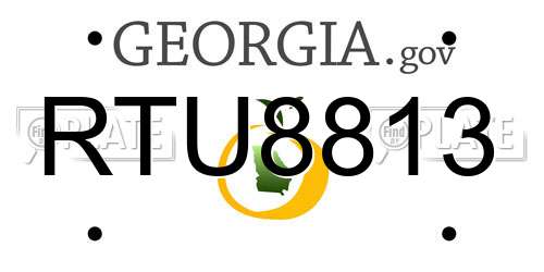 RTU8813 Georgia License Plate