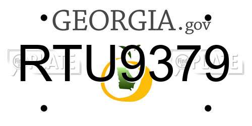 RTU9379 Georgia License Plate