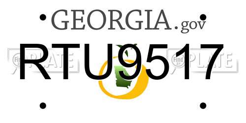 RTU9517 Georgia License Plate