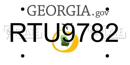 RTU9782 Georgia License Plate