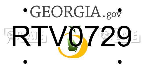 RTV0729 Georgia License Plate