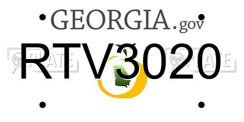 RTV3020 Georgia License Plate
