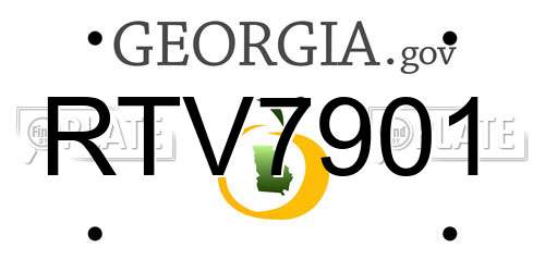 RTV7901 Georgia License Plate