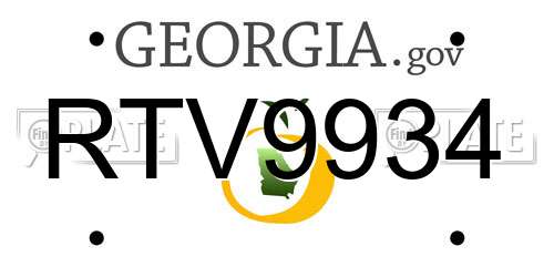 RTV9934 Georgia License Plate