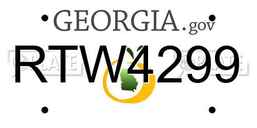 RTW4299 Georgia License Plate