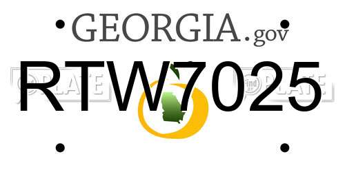 RTW7025 Georgia License Plate