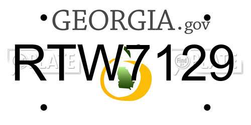 RTW7129 Georgia License Plate