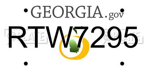 RTW7295 Georgia License Plate