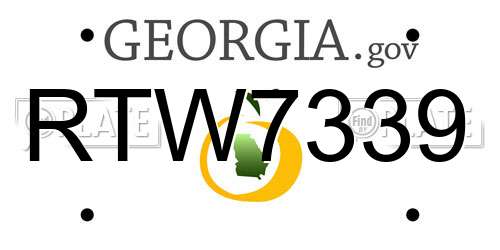 RTW7339 Georgia License Plate