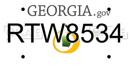 RTW8534 Georgia License Plate