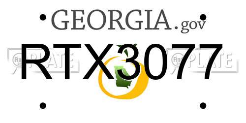 RTX3077 Georgia License Plate