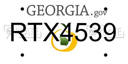 RTX4539 Georgia License Plate