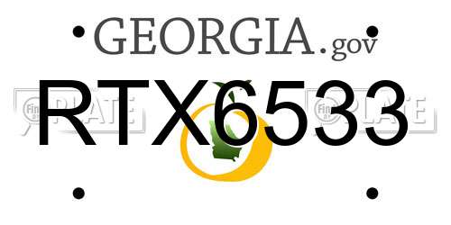RTX6533 Georgia License Plate