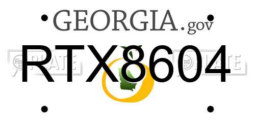 RTX8604 Georgia License Plate