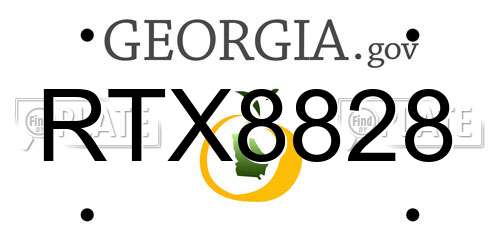 RTX8828 Georgia License Plate