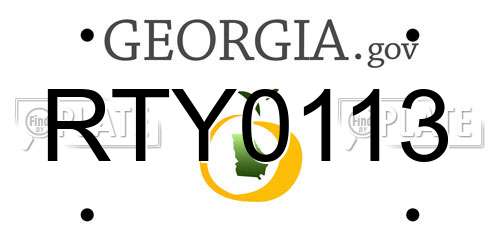 RTY0113 Georgia License Plate