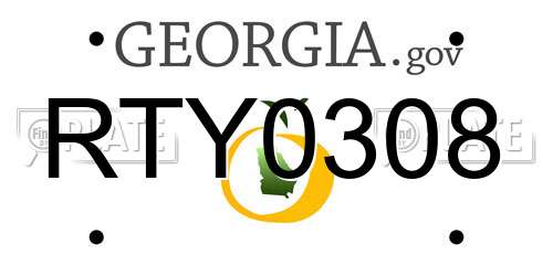 RTY0308 Georgia License Plate