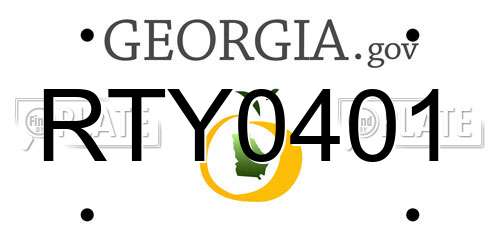 RTY0401 Georgia License Plate