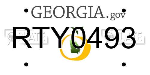RTY0493 Georgia License Plate