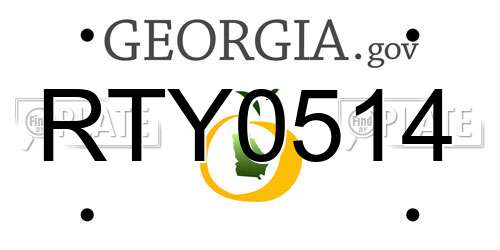 RTY0514 Georgia License Plate