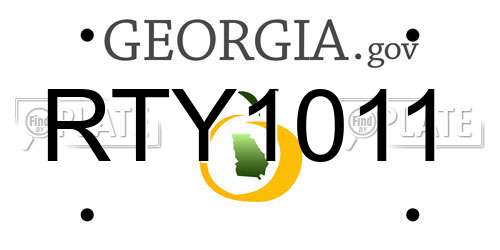 RTY1011 Georgia License Plate