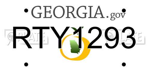 RTY1293 Georgia License Plate