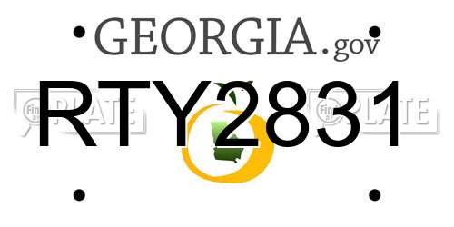 RTY2831 Georgia License Plate