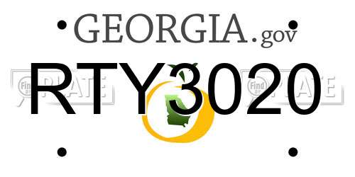 RTY3020 Georgia License Plate