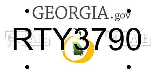 RTY3790 Georgia License Plate