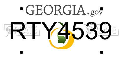RTY4539 Georgia License Plate