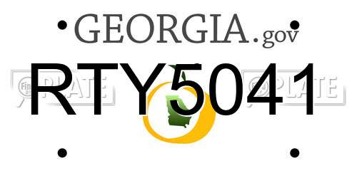 RTY5041 Georgia License Plate
