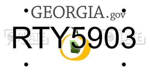 RTY5903 Georgia License Plate