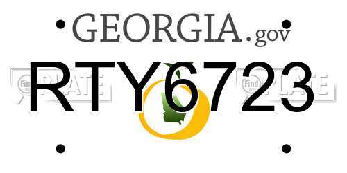 RTY6723 Georgia License Plate