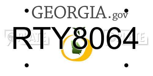 RTY8064 Georgia License Plate