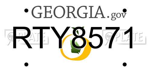 RTY8571 Georgia License Plate