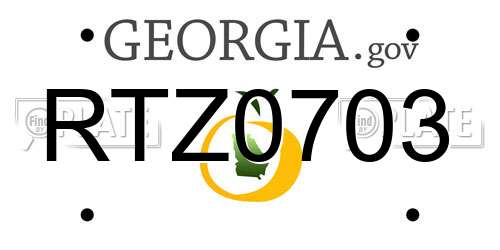 RTZ0703 Georgia License Plate