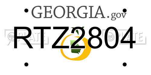 RTZ2804 Georgia License Plate