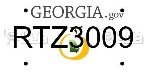 RTZ3009 Georgia License Plate