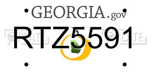 RTZ5591 Georgia License Plate