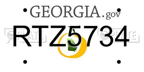 RTZ5734 Georgia License Plate