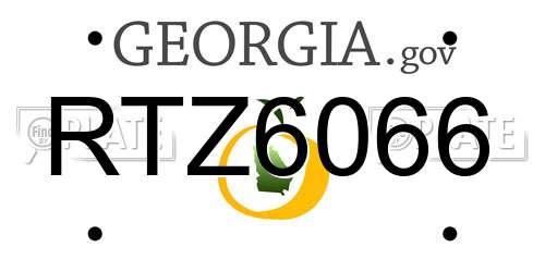 RTZ6066 Georgia License Plate