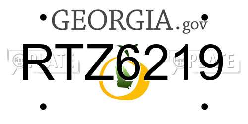 RTZ6219 Georgia License Plate