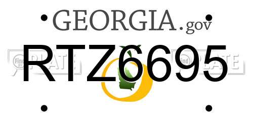RTZ6695 Georgia License Plate