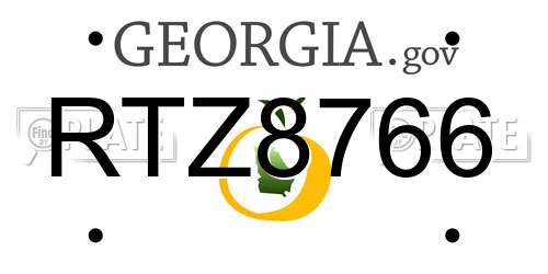 RTZ8766 Georgia License Plate